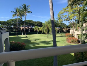 Waking up in Maui! Early Morning Lanai Views