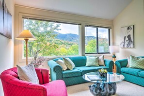 Mountain views from living room