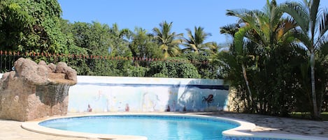 Jetted Pool w/lights and waterfall 