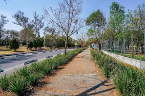 Property grounds