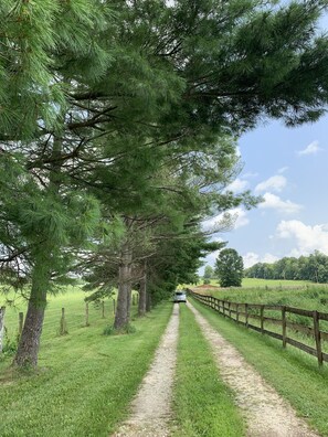 Long scenic driveway up the hill past the barn and the hoop house. 