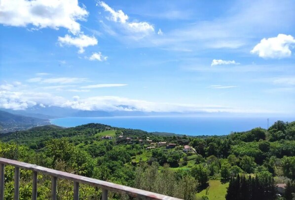 View from property