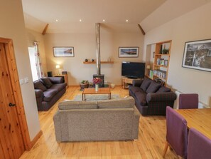 55 inch tv three sofas and wood stove