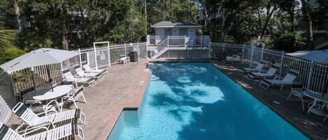 Pool /Deck, Loungers and Bathrooms