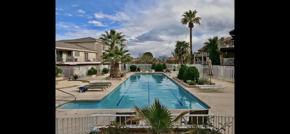 Adult Lap Pool