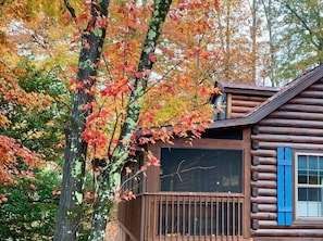 Fall Log Cabin rental