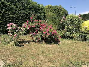 Devant la maison