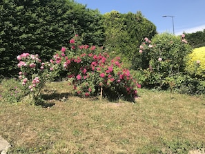 Devant la maison 