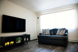 New Roku TV and natural light that floods the living room.  