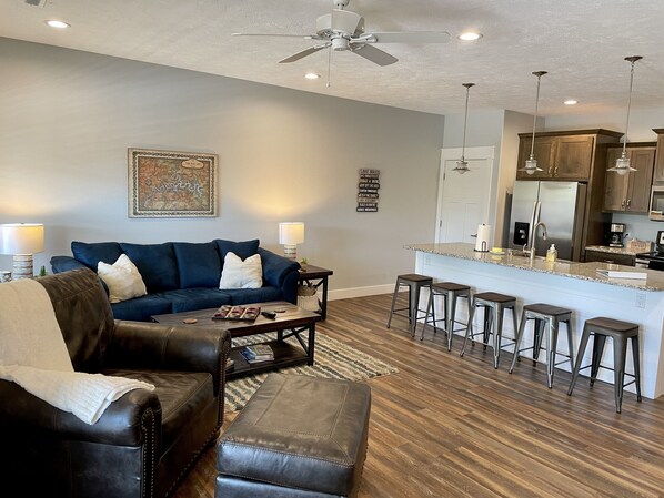 Living room and kitchen