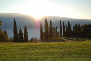 Lakeview