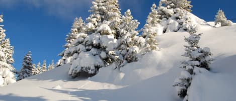 Skidåkning och snöaktiviteter