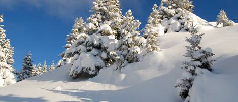 Sci e sport sulla neve