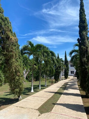 Terrenos do alojamento