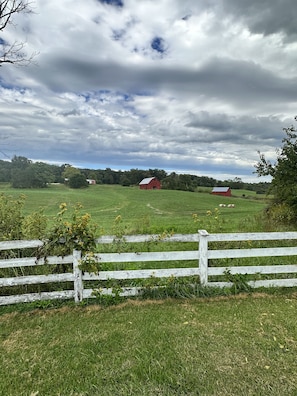 Cottage and working farm in heart of Virginia wine country near UVA & Woodberry