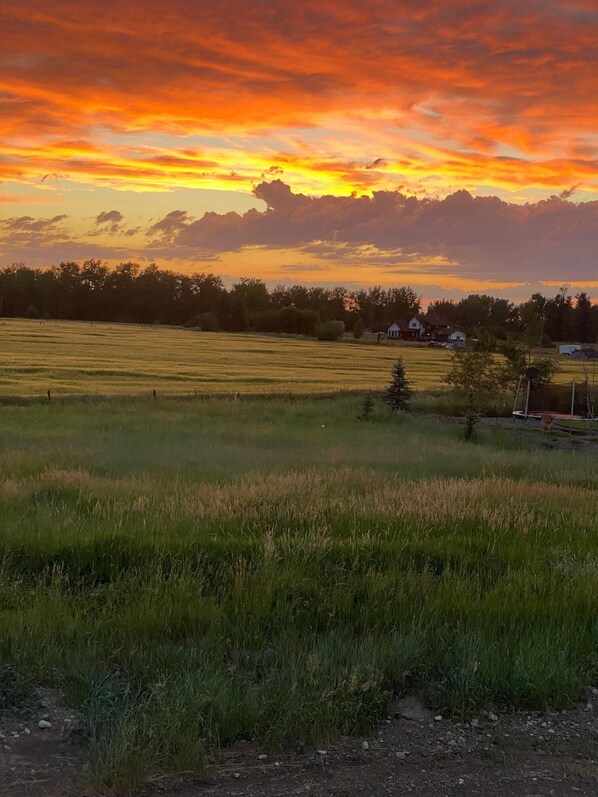 Sunset view