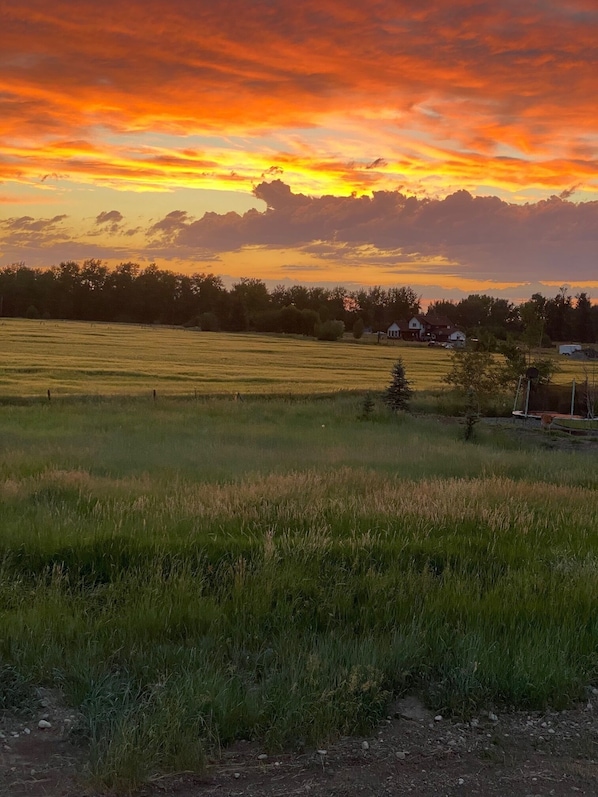 Sunset view