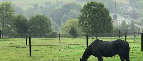 Overnatningsstedets område