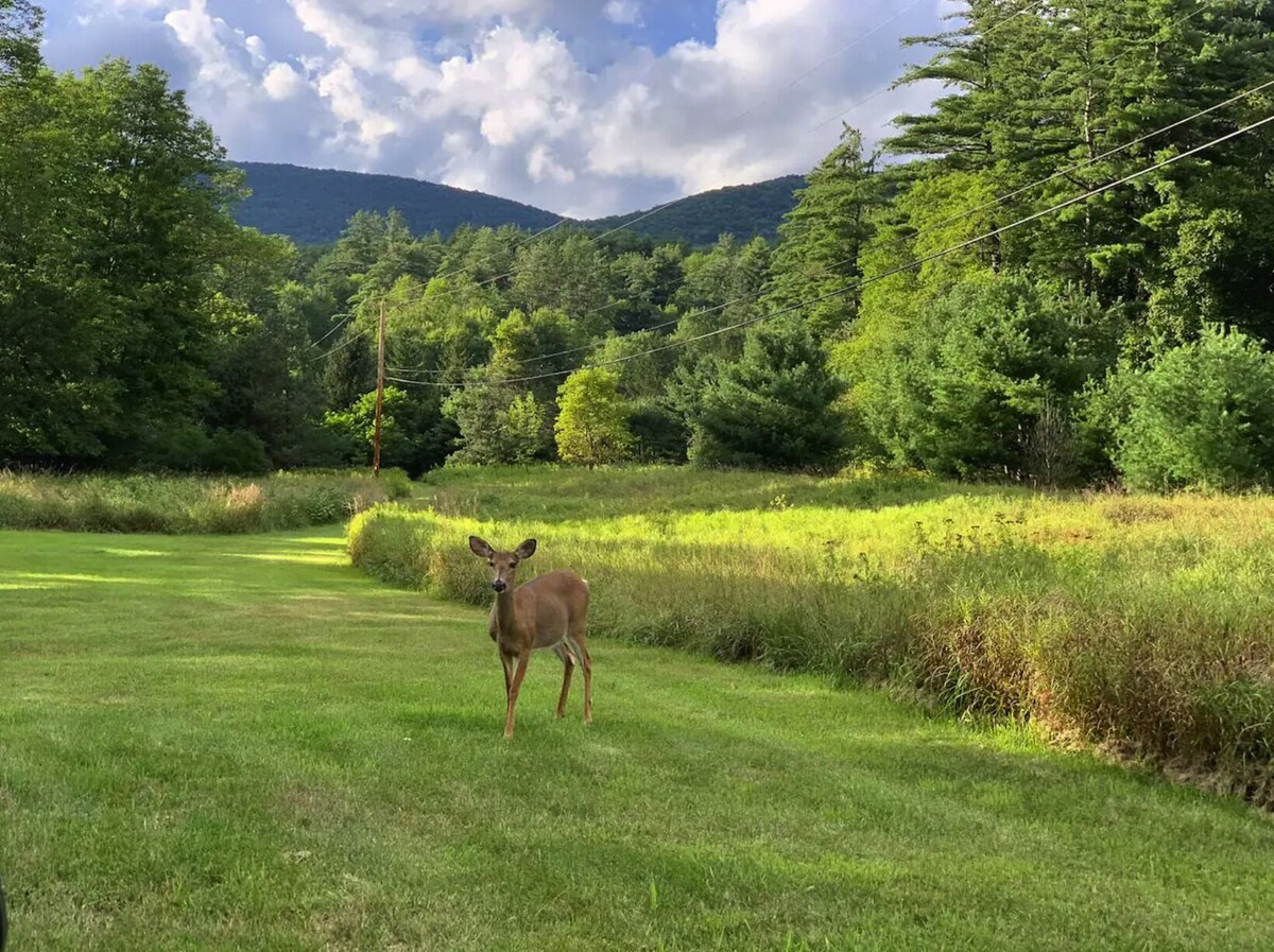 Spacious Catskills Cabin w/Stream Near Hiking, Biking & Skiing
