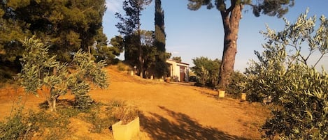 Parco della struttura