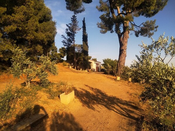 Εξωτερικός χώρος καταλύματος