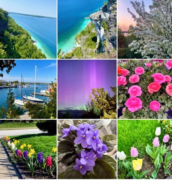 Spring_Summer 