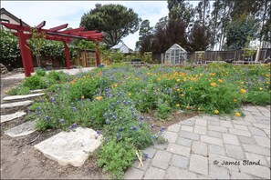 Grounds, including meadow of native wildflowers.