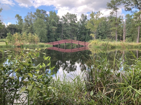 view of lake/island/bridge