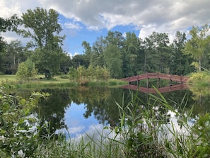 Bridge to Island water view