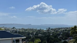 Beach/ocean view