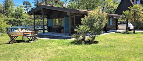 Main view