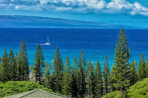 Beautiful views of Kapalua