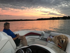 Pet-friendly