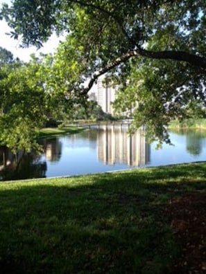 Patio view