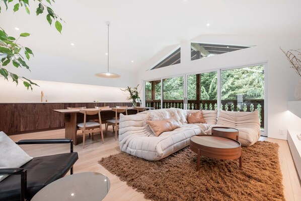 Living area: Electric fireplace