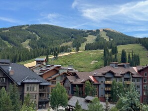PP405 View