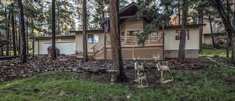 Local Wildlife - Don't be surprised if you come in contact with local wildlife during your stay in Ruidoso. They're so friendly!