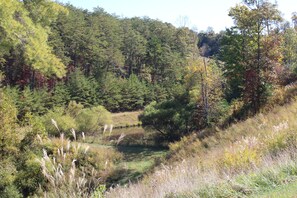 Terrain de l’hébergement 