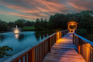 Night time @ The Falls (lighted bridge, fountain, perfect for romantic evenings
