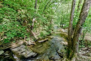 Water, Nature, Creek, Outdoors, Stream