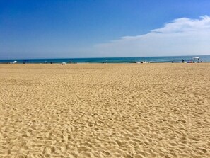 ビーチ