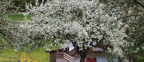 Overnatningsstedets område