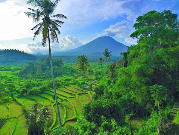 Agung view