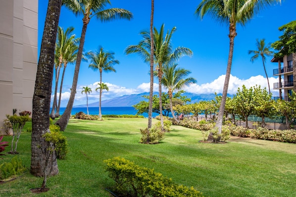Spectacular views from your lanai