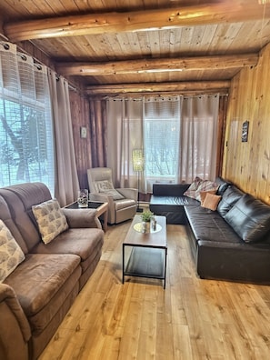 Lake view living room
