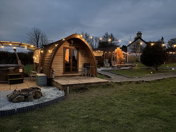 Pod field 2