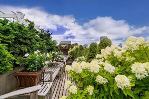 Patio garden with amazing views of the city