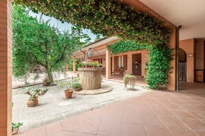 Plant, Building, Flowerpot, Houseplant, Window, Door, Wood, Architecture, Grass, Shade