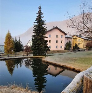 Picture 3
