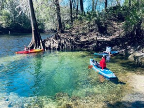 An other springs on Withlacoochee